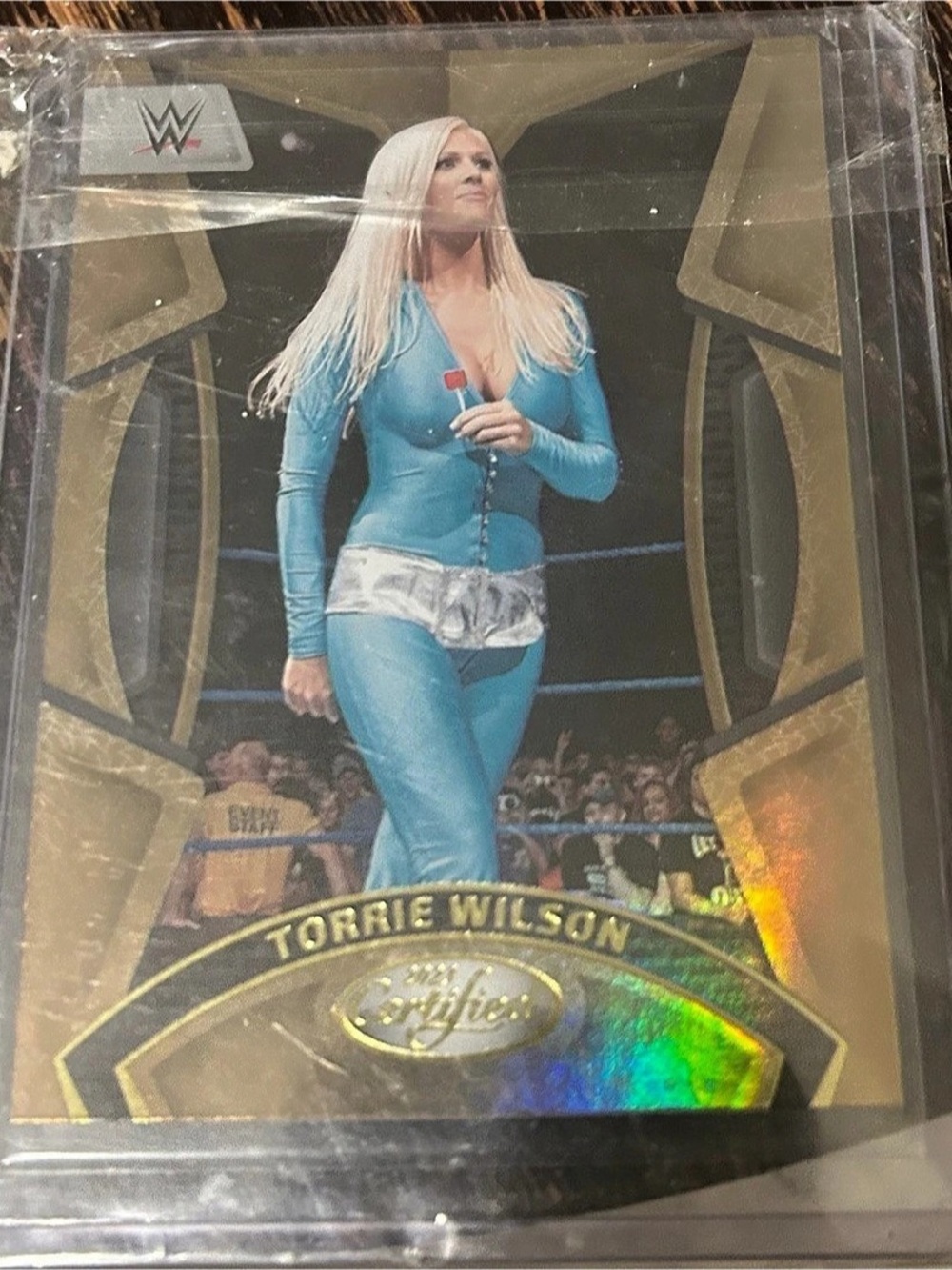 WWE Torrie Wilson WWE trading card No. 214 Trading Card
